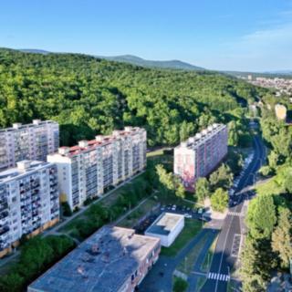 Prodej bytu 4+1 83 m² Litvínov Janov, Luční