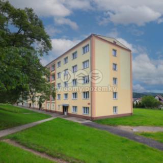Prodej bytu 1+1 49 m² Rotava, Sídliště