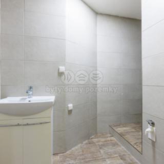 Pronájem bytu 2+1 48 m² Horní Slavkov, Dlouhá