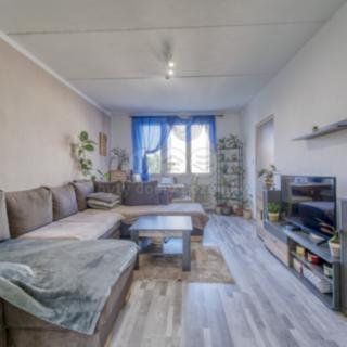 Prodej bytu 4+1 89 m² Heřmanova Huť Vlkýš, Sídliště