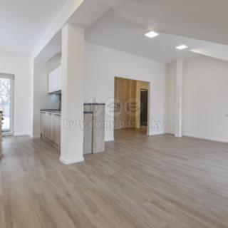 Pronájem bytu 4+kk 113 m² Opava