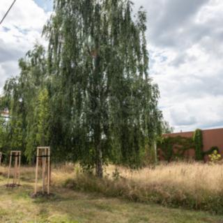Pronájem zahrady 1 835 m² Pardubice, Pištorova