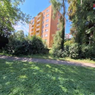 Pronájem bytu 1+kk, garsoniery 25 m² Ostrava