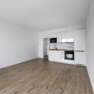 Pronájem bytu 1+kk, garsoniery 36 m² Plzeň