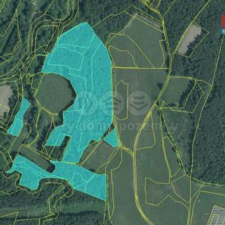 Prodej lesa 20 271 m² Suchdol nad Lužnicí Klikov