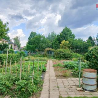 Pronájem zahrady 400 m² Opava