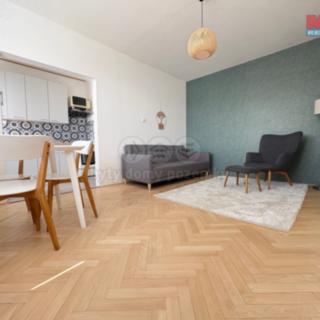Pronájem bytu 2+1 52 m² Břidličná, Sokolovská