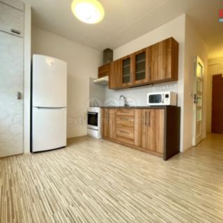 Pronájem bytu 1+1 40 m² Brno
