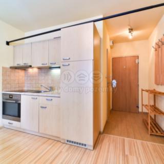Prodej bytu 1+kk, garsoniery 20 m² Plzeň