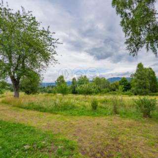 Prodej stavební parcely 2 451 m² Nová Pec