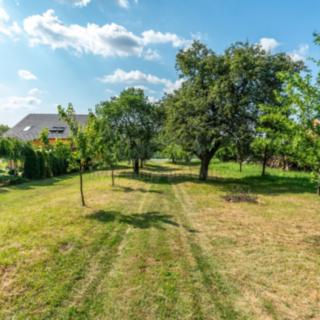 Prodej stavební parcely 3 276 m² Viničné Šumice