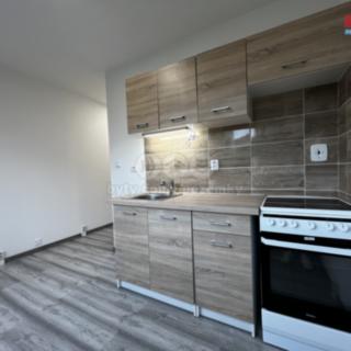 Pronájem bytu 1+1 40 m² Ústí nad Labem Severní Terasa, Jizerská