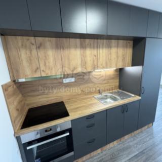Pronájem bytu 1+kk a garsoniéry 38 m² Louny, Husova