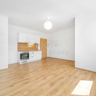 Pronájem bytu 1+kk a garsoniéry 31 m² Rokycany Nové Město, Dělostřelců