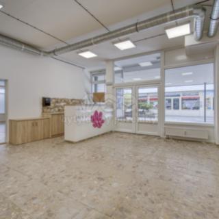 Pronájem obchodu 310 m² Plzeň Bolevec, Sokolovská
