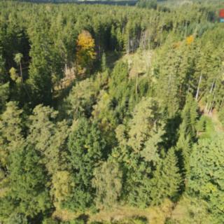 Prodej lesa 62 499 m² Trubín