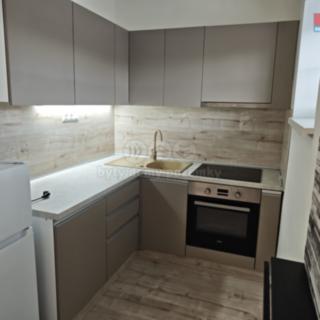 Pronájem bytu 1+1 35 m² Ostrava Vítkovice, Mírová