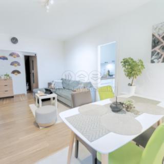 Pronájem bytu 4+1 74 m² Litvínov Janov, Hamerská