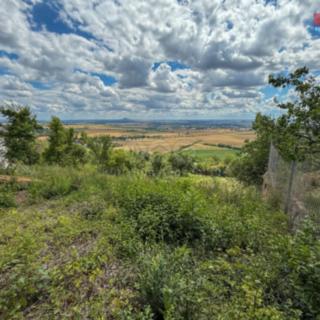 Prodej zahrady 1 565 m² Žitenice