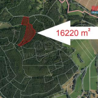 Prodej lesa 16 220 m² Petrovice Mezihoří