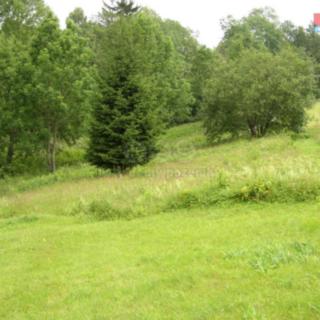 Prodej zahrady 4 214 m² Benecko