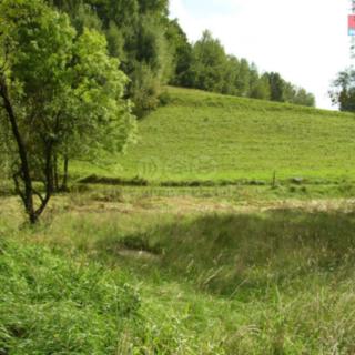 Prodej louky 2 494 m² Janův Důl