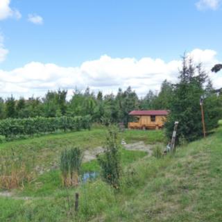 Prodej stavební parcely 3 955 m² Podhořany u Ronova
