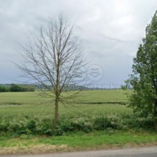 Prodej komerčního pozemku 10 506 m² Budyně nad Ohří