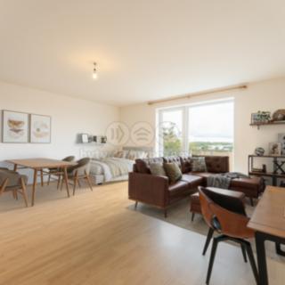 Prodej bytu 1+kk a garsoniéry 43 m² Hostivice, Žitná