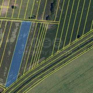 Prodej zemědělské půdy 5 985 m² Měnín