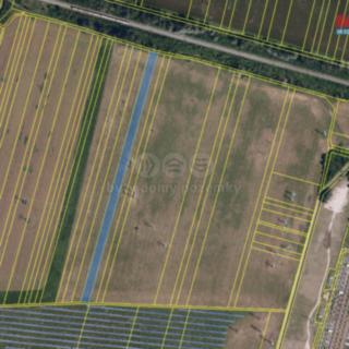 Prodej zemědělské půdy 6 587 m² Sokolnice