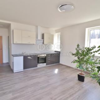 Pronájem bytu 2+1 65 m² Nejdek