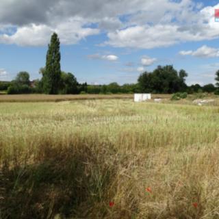 Prodej stavební parcely 1 217 m² Kolešovice