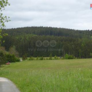 Prodej lesa 26 095 m² Vysoká Srbská