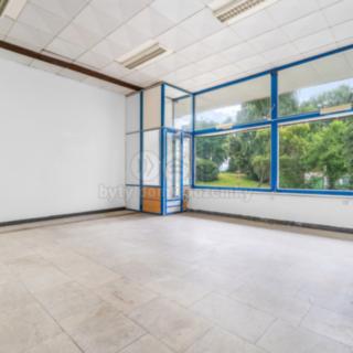 Prodej obchodu 139 m² Stráž pod Ralskem
