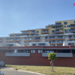 Pronájem bytu 1+kk, garsoniery 34 m² Ostrava
