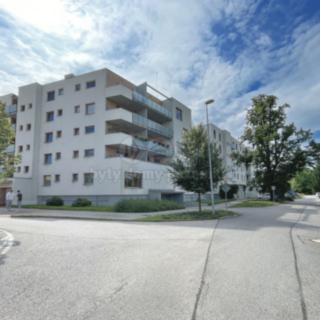 Pronájem garáže 18 m² České Budějovice 2, U Lučního jezu