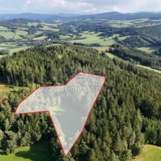 Prodej lesa 15707 m² Petrovice u Sušice