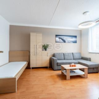 Pronájem bytu 1+1 33 m² Jihlava, Březinova