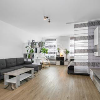Prodej bytu 1+kk a garsoniéry 45 m² Plzeň Severní Předměstí, alej Svobody