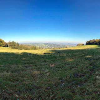 Prodej louky 15674 m² Jiřetín pod Jedlovou