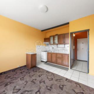 Prodej bytu 1+1 35 m² Ústí nad Labem Neštěmice, Seifertova