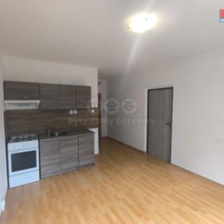Pronájem bytu 1+1 36 m² Chomutov, Růžová