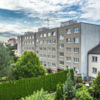 Prodej bytu 1+kk a garsoniéry 23 m² Mladá Boleslav III, Dvořákova