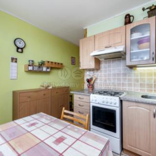 Pronájem bytu 2+1 62 m² Chomutov, Holešická