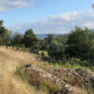 Prodej stavební parcely 1 872 m² Chrastava Horní Vítkov