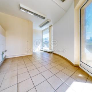 Prodej obchodu 53 m² Písek, Čechova