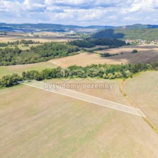 Prodej zemědělské půdy 4 548 m² Lochovice