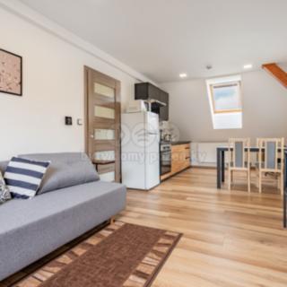 Pronájem bytu 1+kk a garsoniéry 60 m² Hoštice