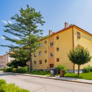 Prodej bytu 2+1 52 m² České Budějovice 3, Čéčova